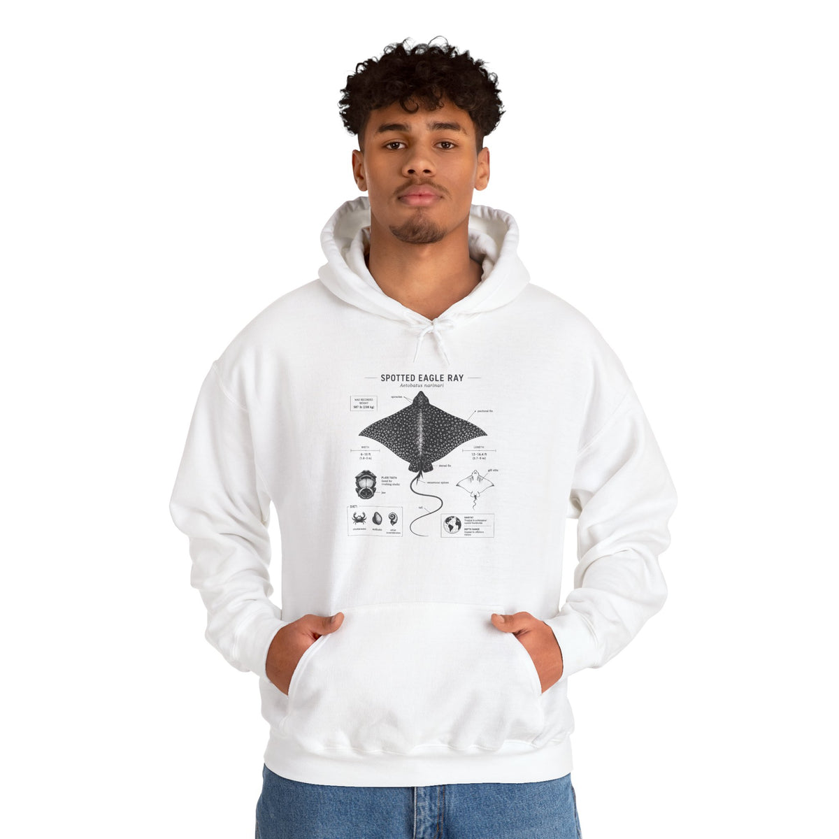 Manta Ray Anatomy Hoodie – Spotted Eagle Ray Diagram Sweatshirt