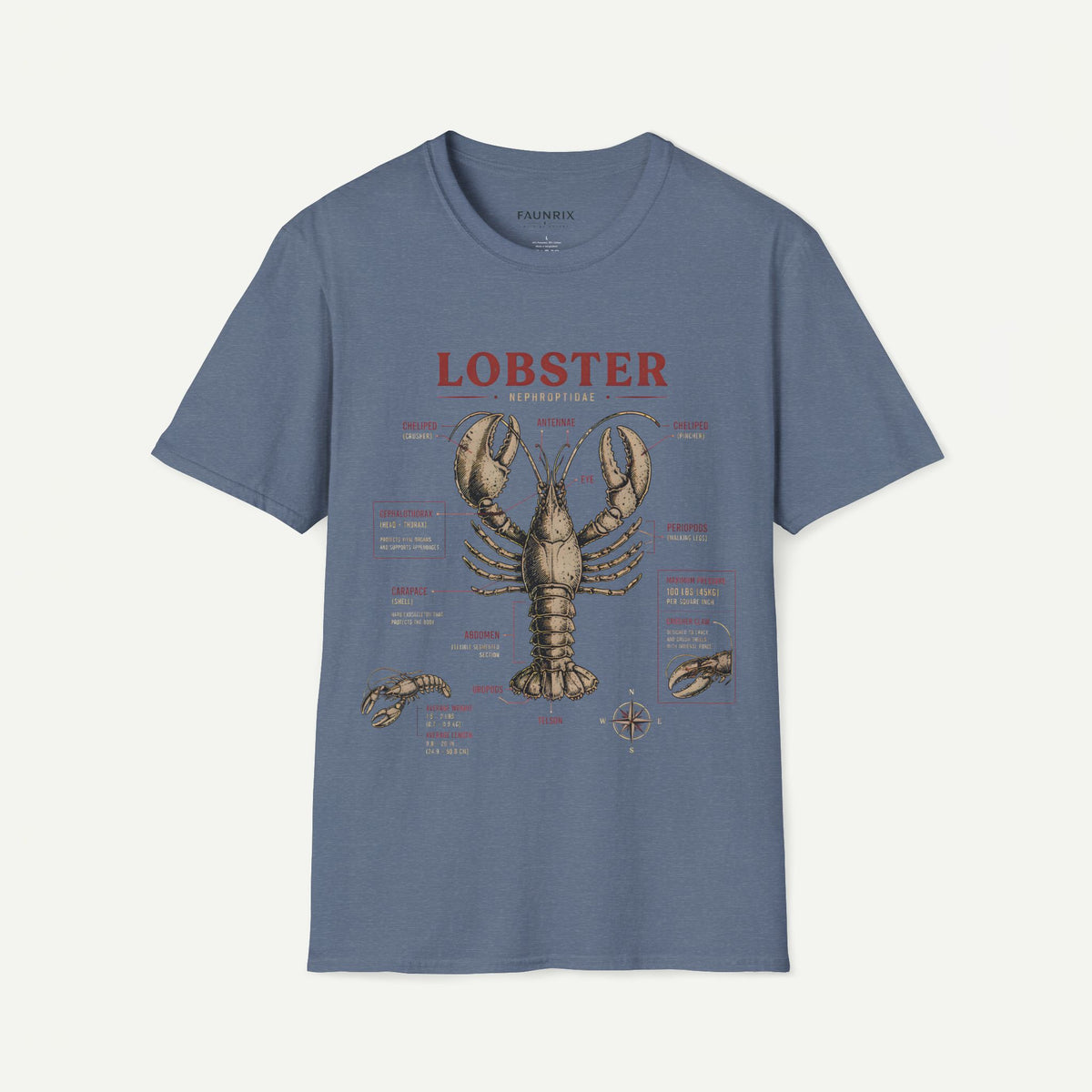 Lobster Anatomy T-Shirt — Vintage Nautical Seafood Diagram Tee
