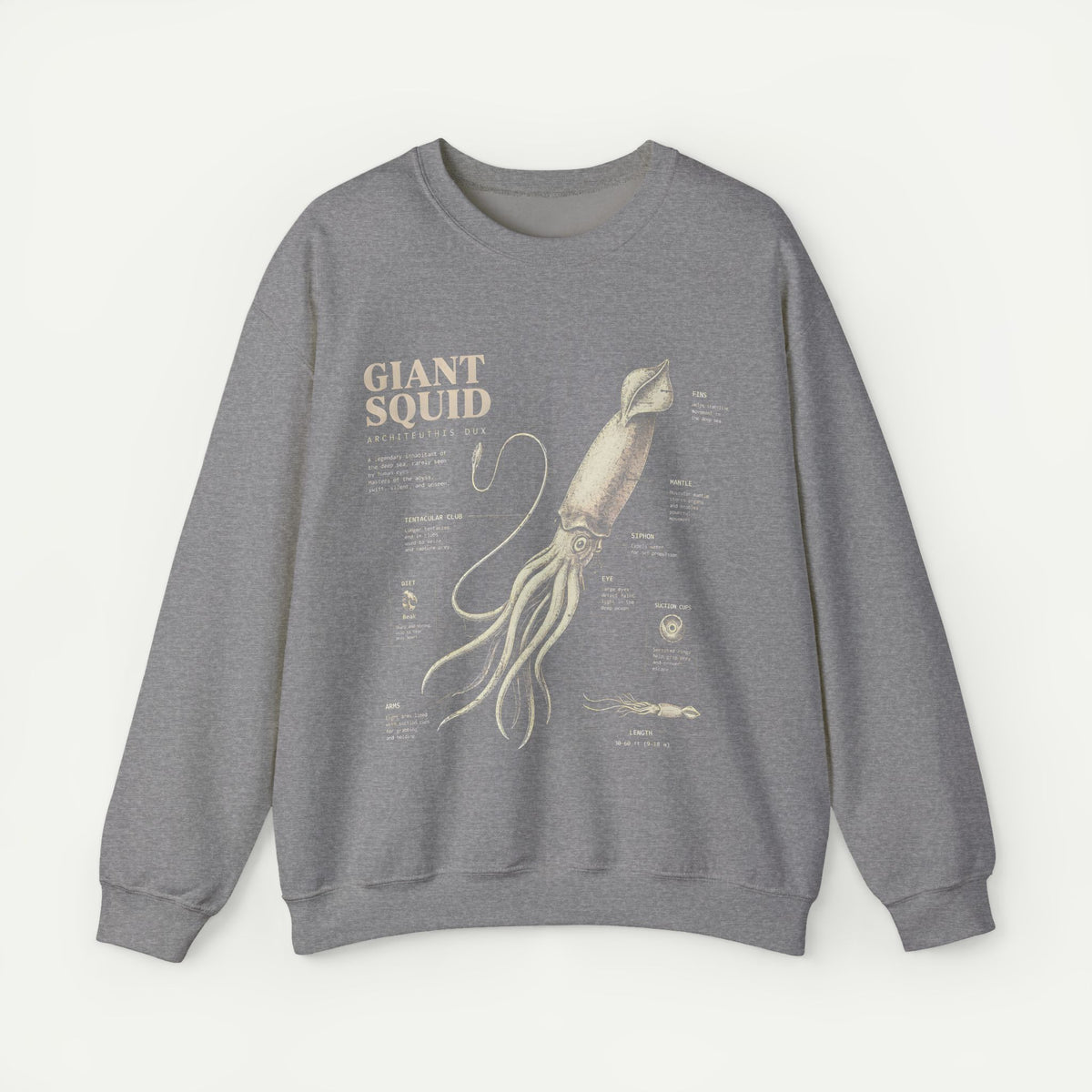 Giant Squid Anatomy Sweatshirt — Vintage Nautical Marine Biology Crewneck