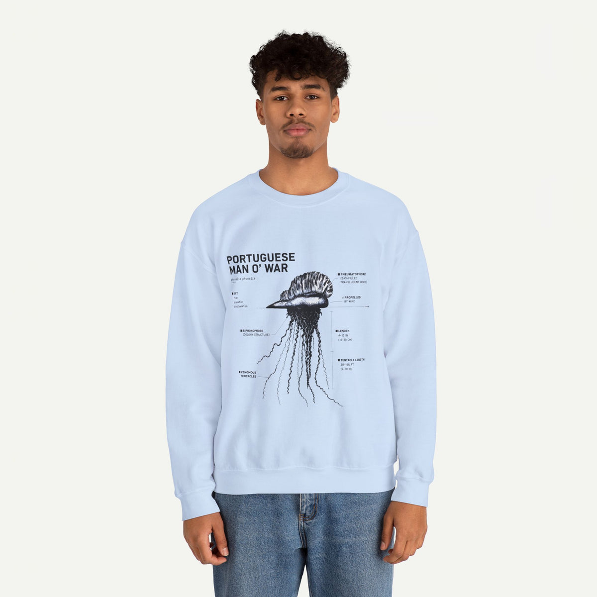 Portuguese Man O' War Anatomy Sweatshirt
