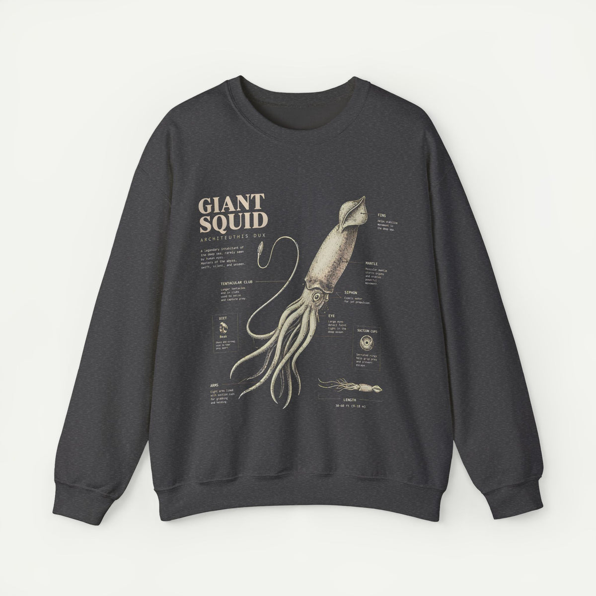 Giant Squid Anatomy Sweatshirt — Vintage Nautical Marine Biology Crewneck