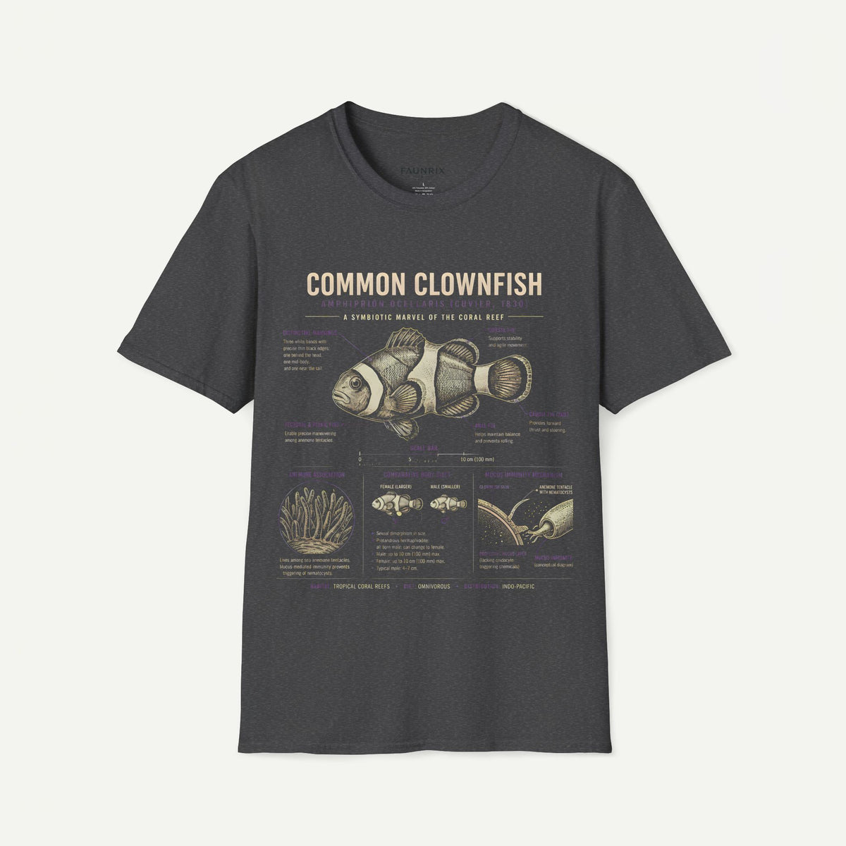 Common Clownfish Anatomy T-Shirt — Vintage Marine Biology Illustration Tee