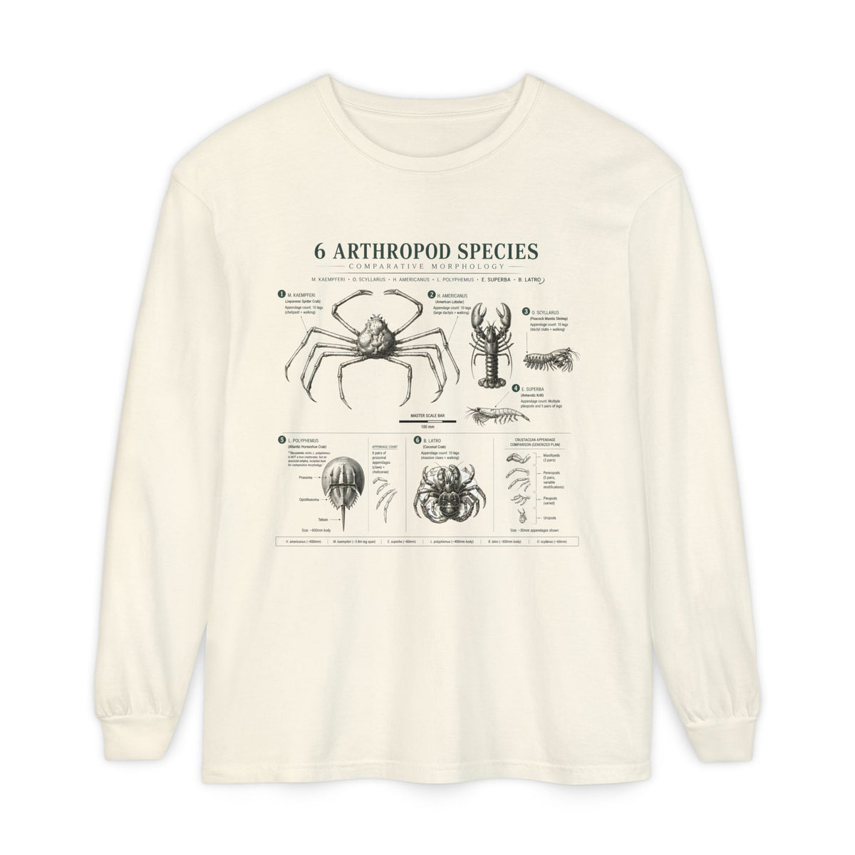 Arthropod Species Chart Long Sleeve Tee — Vintage Scientific Insect Diagram Shirt