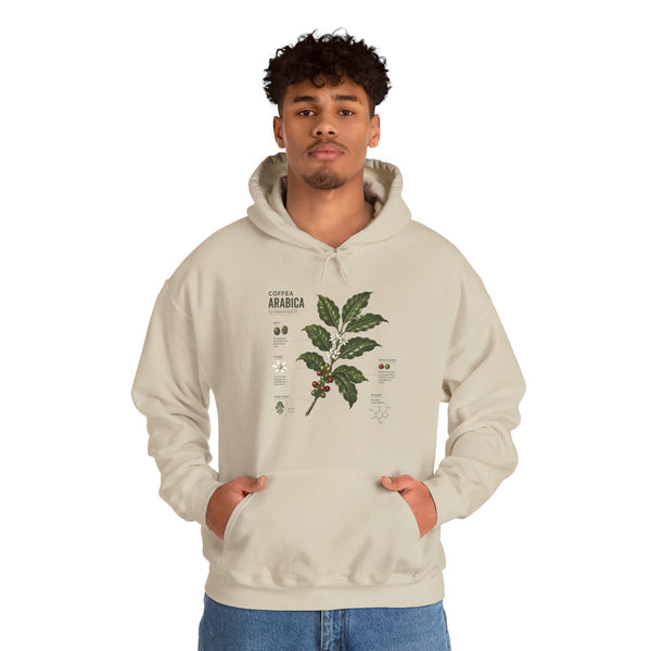 Coffee Plant Hoodie — Coffea Arabica Botanical Illustration Sweatshirt