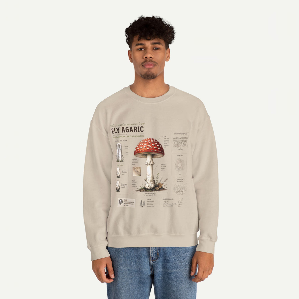 Fly Agaric Mushroom Anatomy Sweatshirt — Botanical Mycology Illustration Crewneck