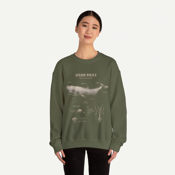 Sperm Whale Anatomy Sweatshirt — Vintage Marine Biology Illustration