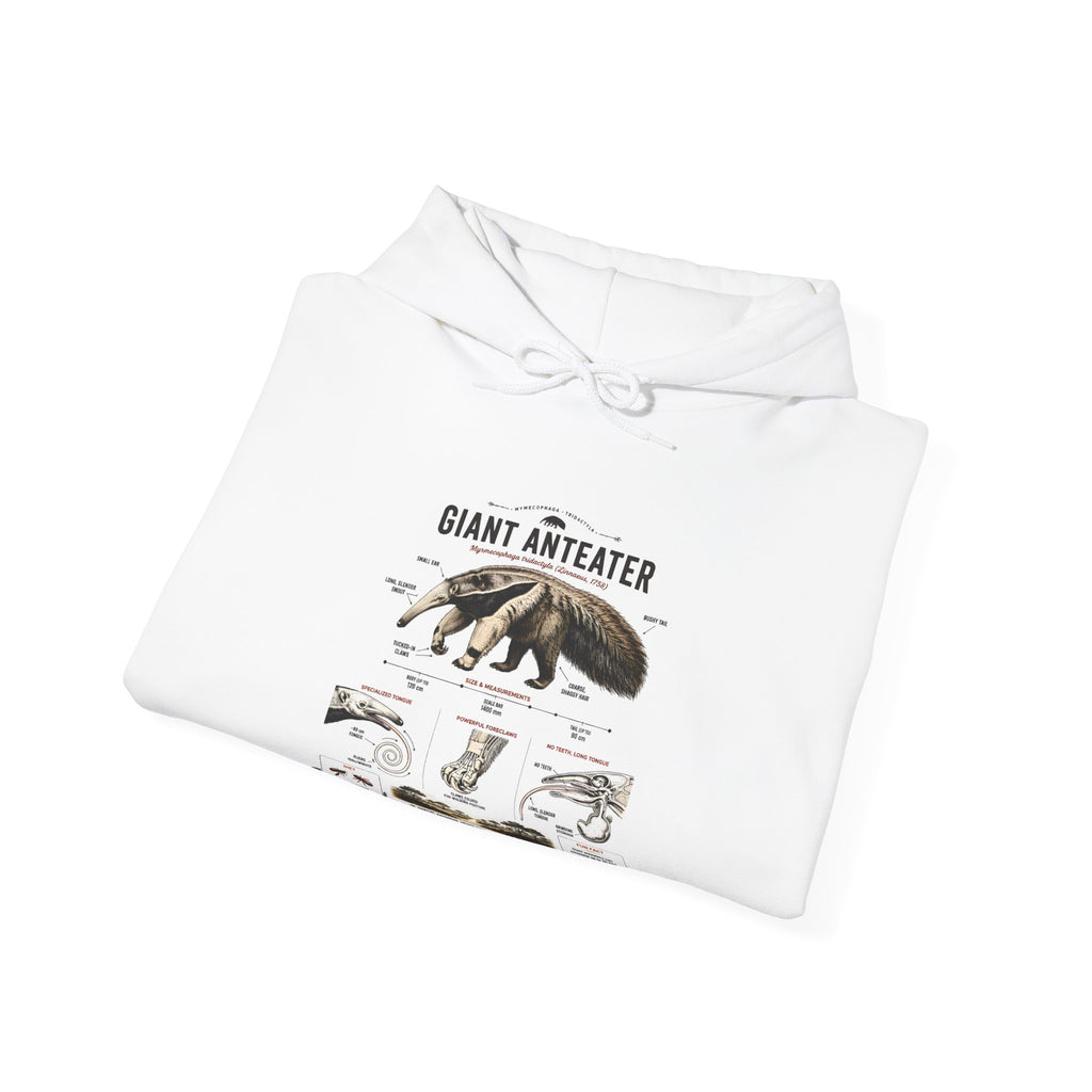 Giant Anteater Anatomy Hoodie — Illustrated Wildlife Diagram Sweatshirt