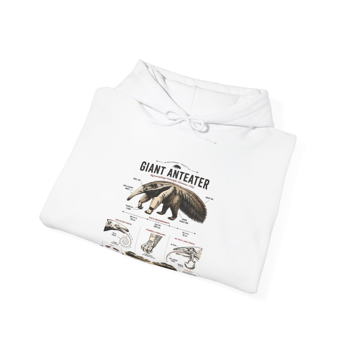 Giant Anteater Anatomy Hoodie — Illustrated Wildlife Diagram Sweatshirt