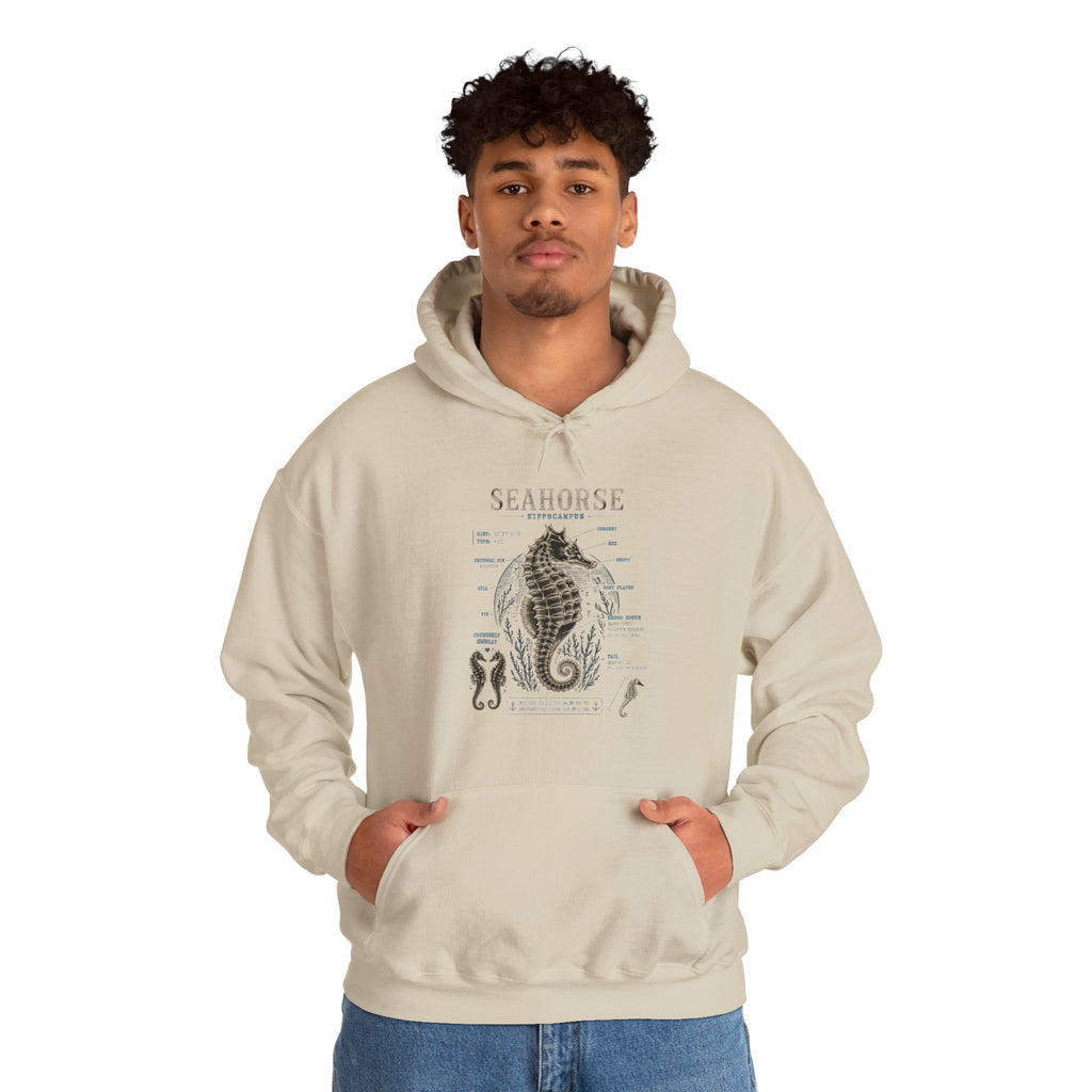 Seahorse Anatomy Hoodie — Vintage Marine Illustration Sweatshirt