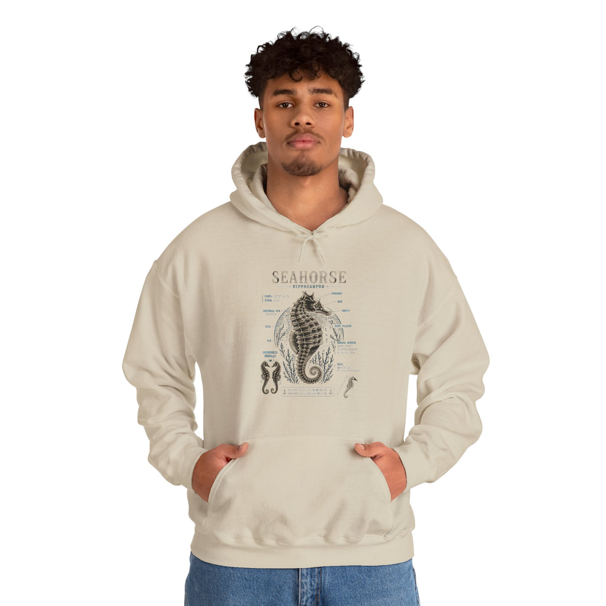 Seahorse Anatomy Hoodie — Vintage Marine Illustration Sweatshirt
