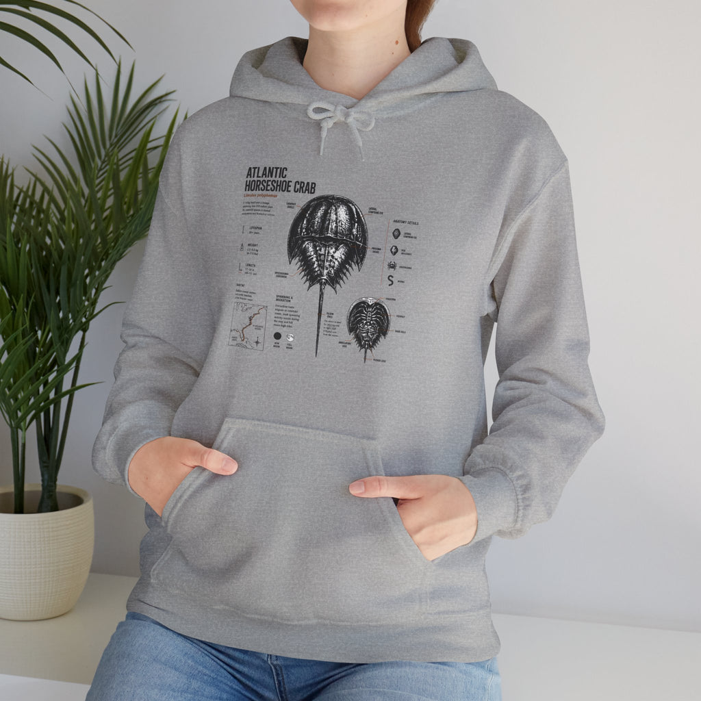 Horseshoe Crab Anatomy Hoodies