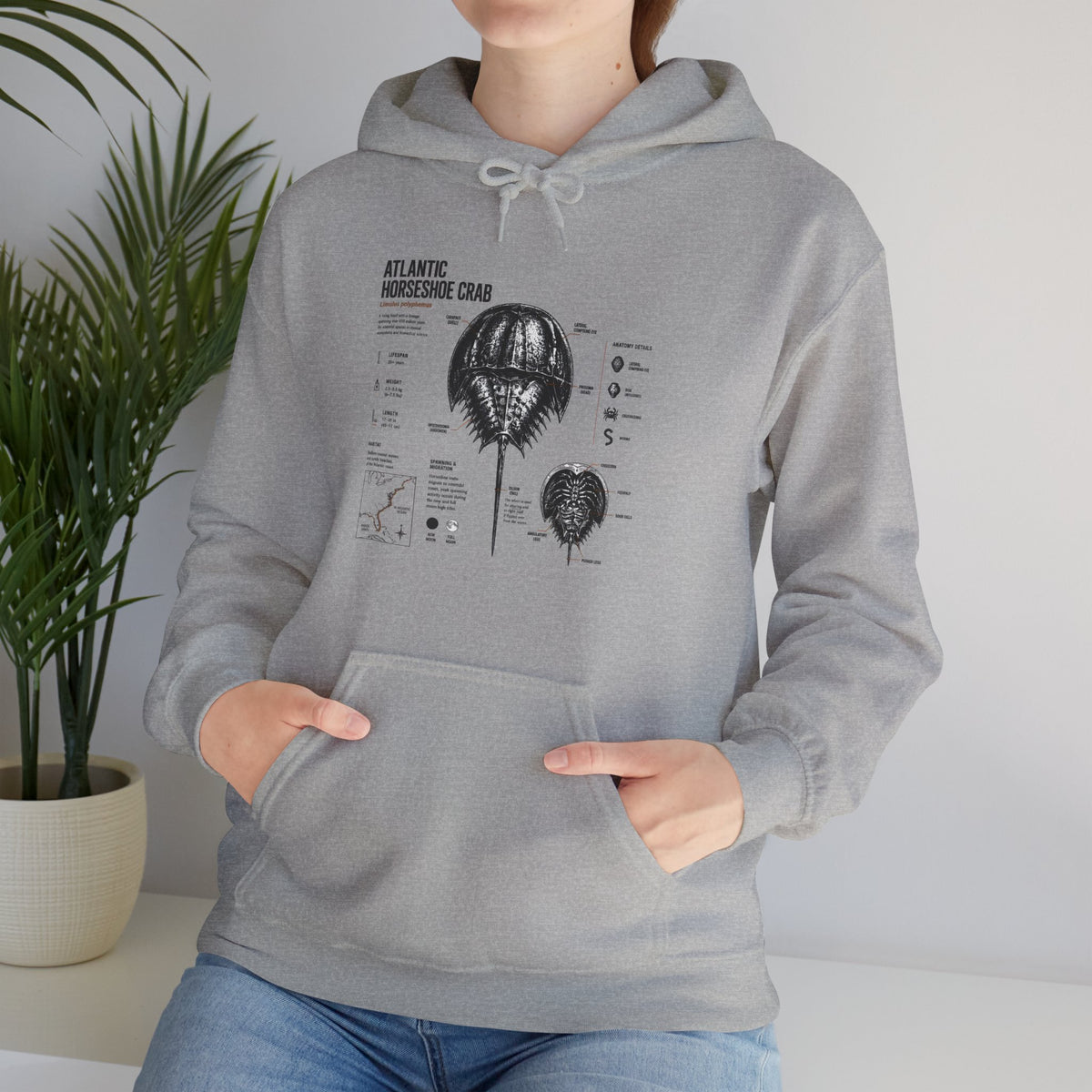 Horseshoe Crab Anatomy Hoodies