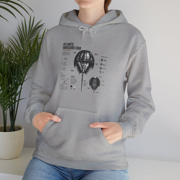 Horseshoe Crab Anatomy Hoodies