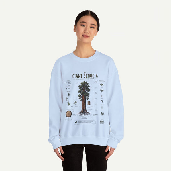 Giant Sequoia Botanical Sweatshirt