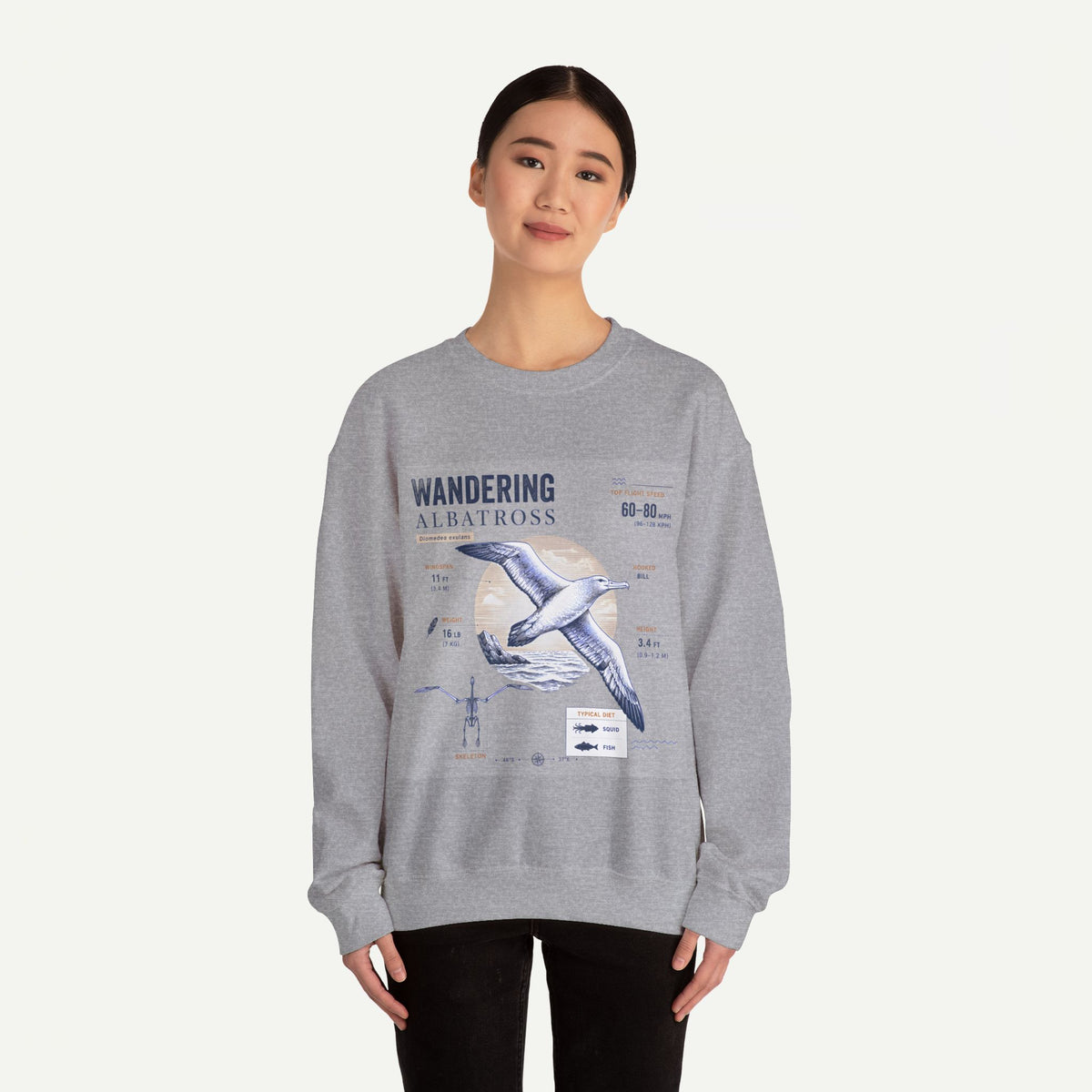 Wandering Albatross Anatomy Sweatshirt — Vintage Seabird Illustration