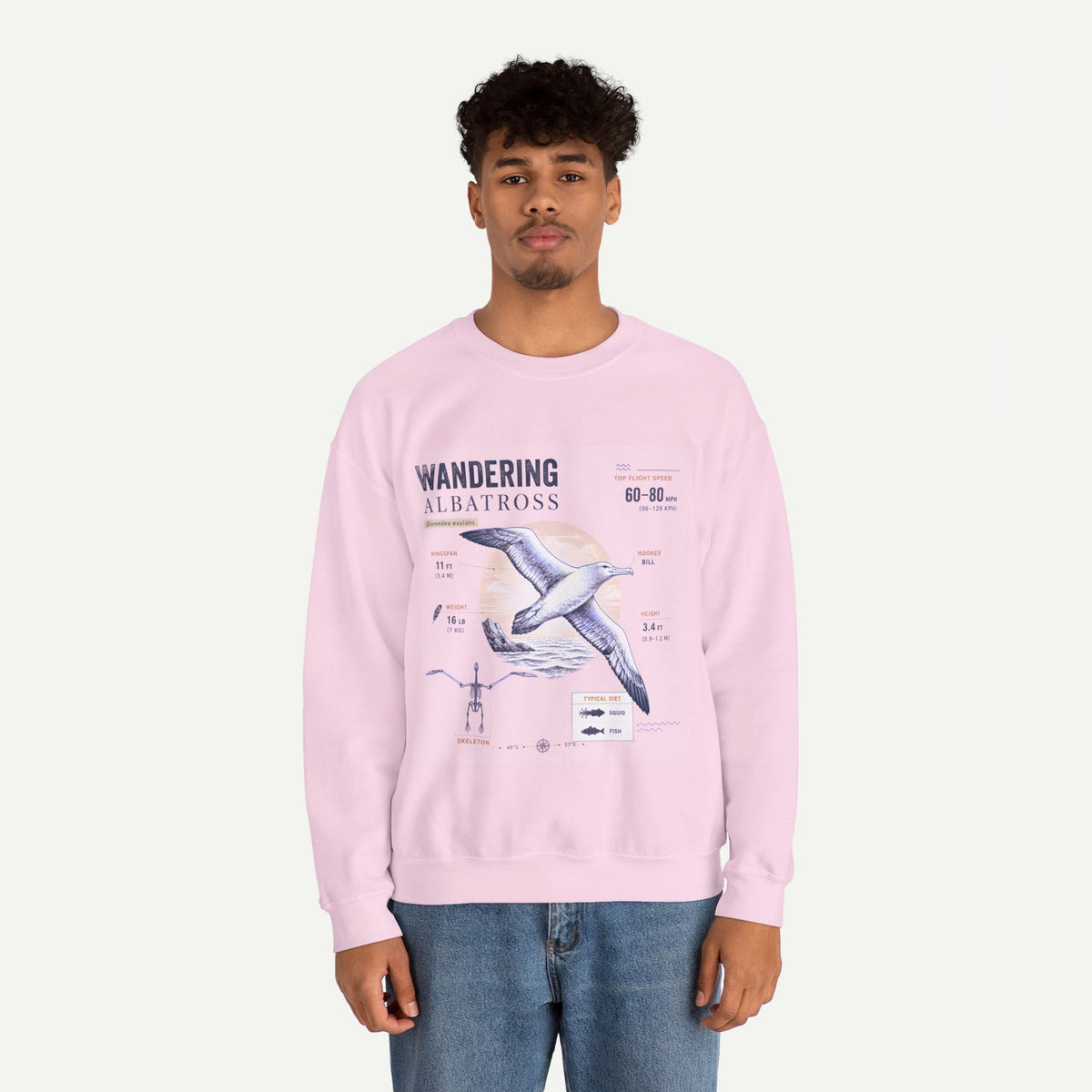 Wandering Albatross Anatomy Sweatshirt — Vintage Seabird Illustration