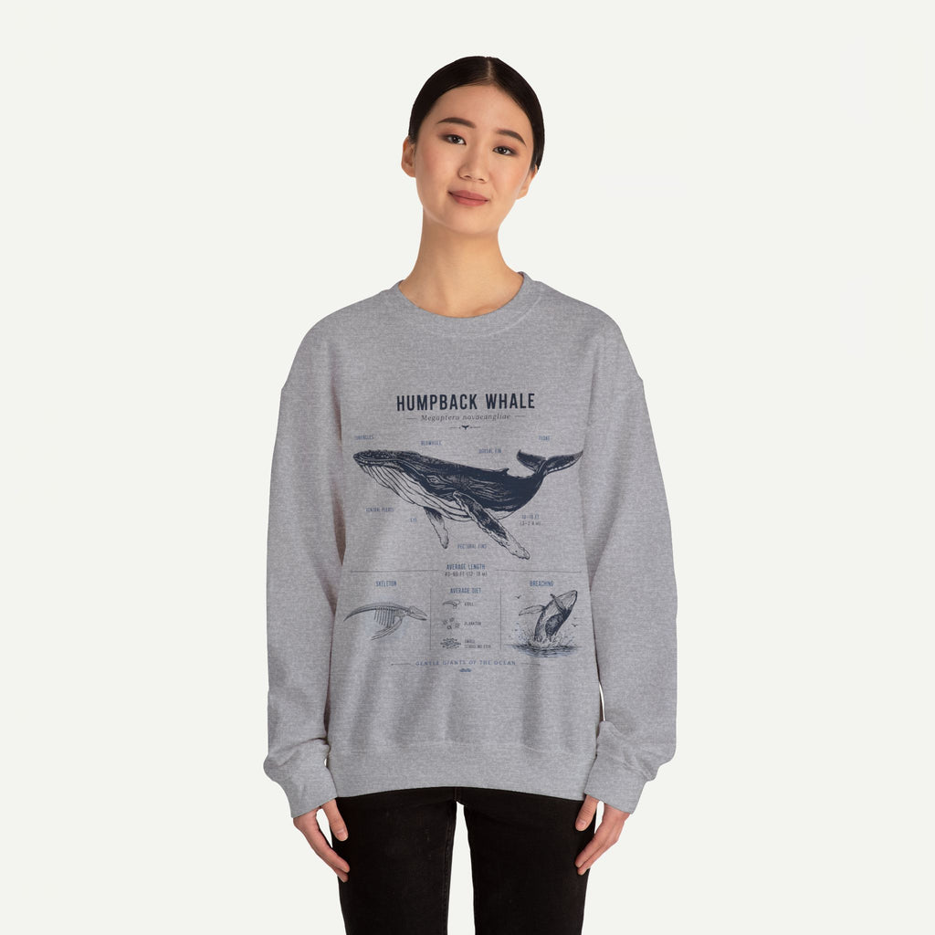 Humpback Whale Anatomy Sweatshirt