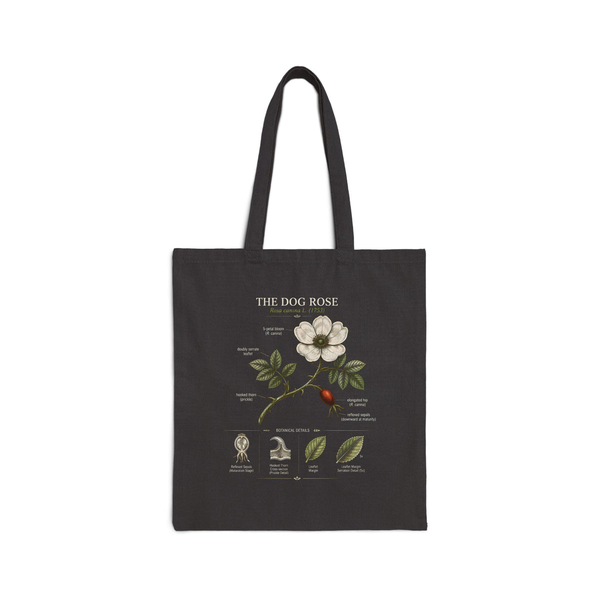 Dog Rose Botanical Tote Bag – Vintage Floral Illustration Canvas Tote