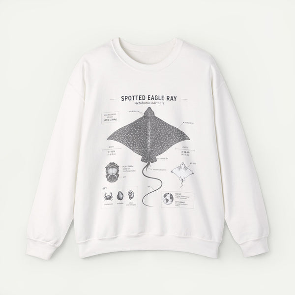 Spotted Eagle Ray Anatomy Sweatshirt – Marine Biology Illustration