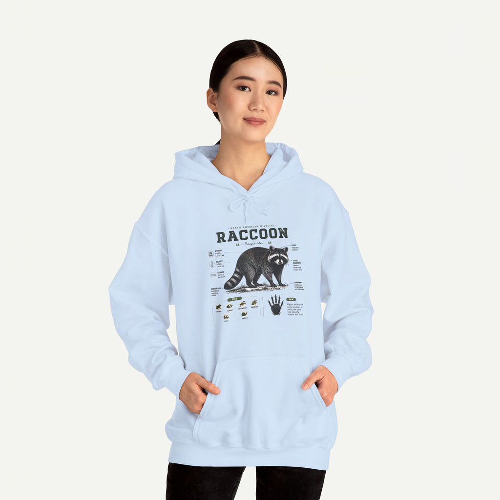 Raccoon Anatomy Hoodie — Vintage Wildlife Illustration Sweatshirt