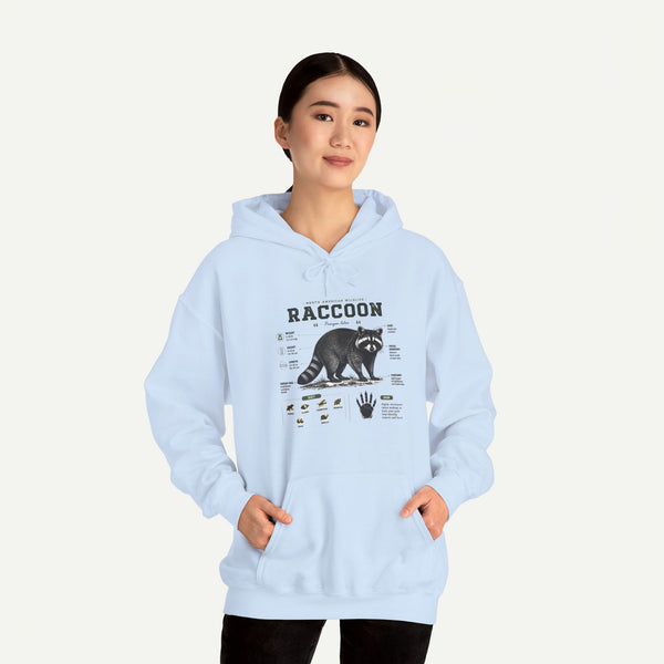 Raccoon Anatomy Hoodie — Vintage Wildlife Illustration Sweatshirt
