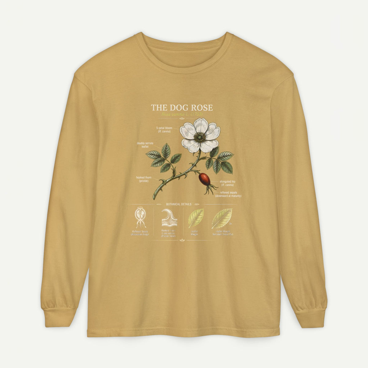 Vintage Botanical Long Sleeve Tee — Wild Rose Illustration