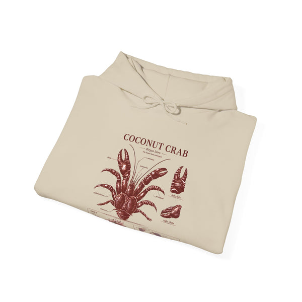 Coconut Crab Anatomy Hoodie — Vintage Botanical & Marine Study Print