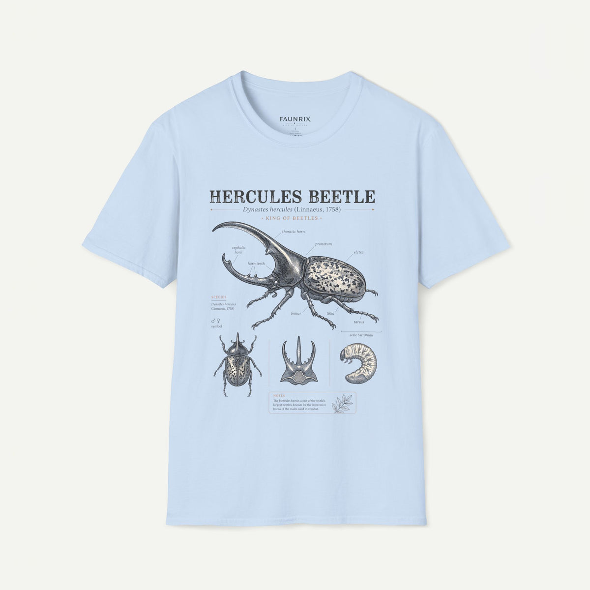 Hercules Beetle Anatomy T-Shirt — Vintage Entomology Graphic Tee