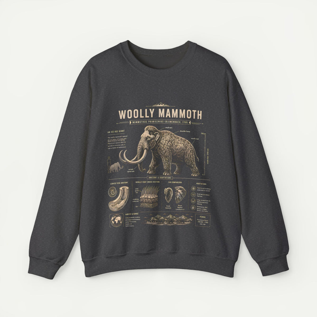 Woolly Mammoth Anatomy Sweatshirt — Vintage Natural History Crewneck