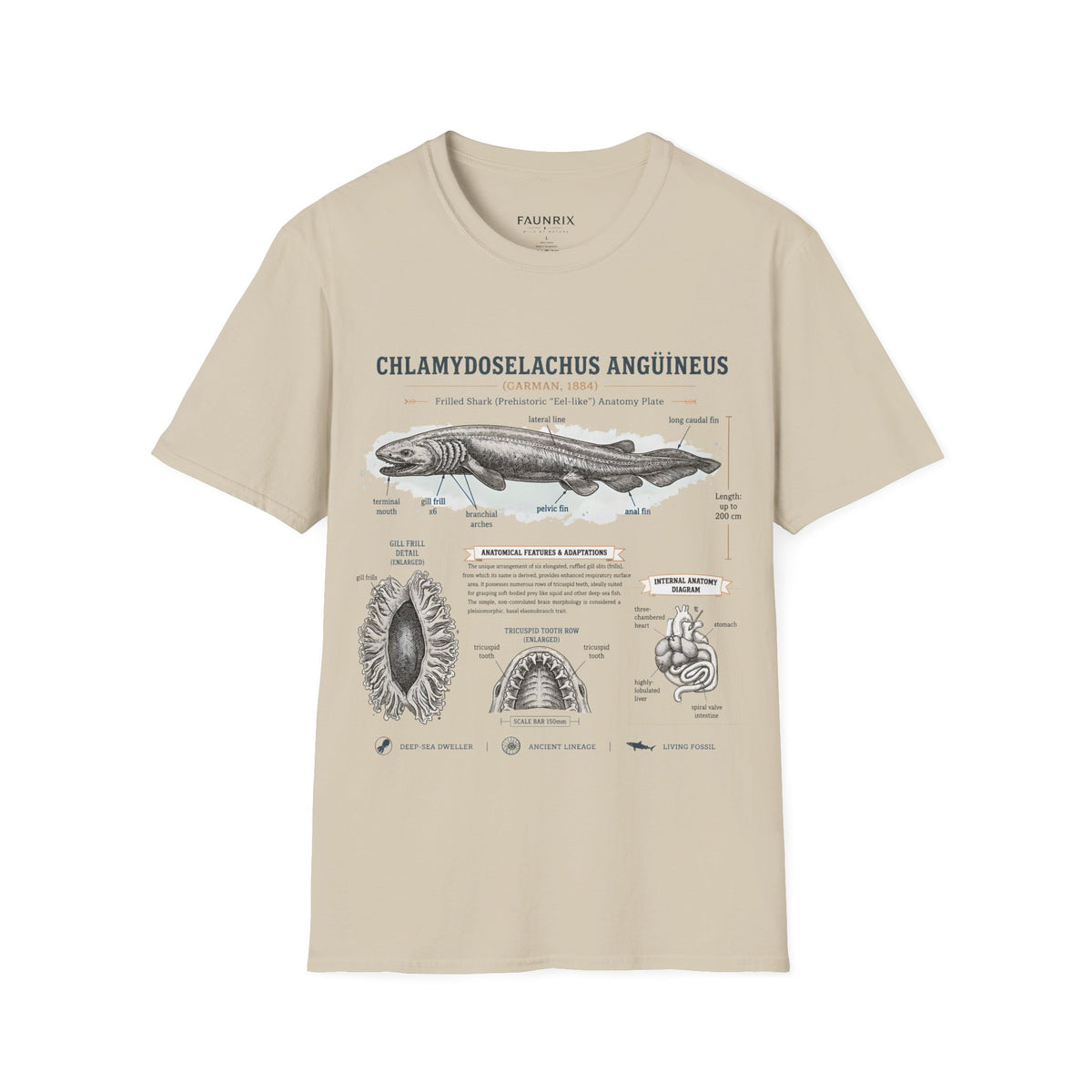 Shark Anatomy Graphic Tee — Chlamydoselachus Anguineus Educational T-Shirt