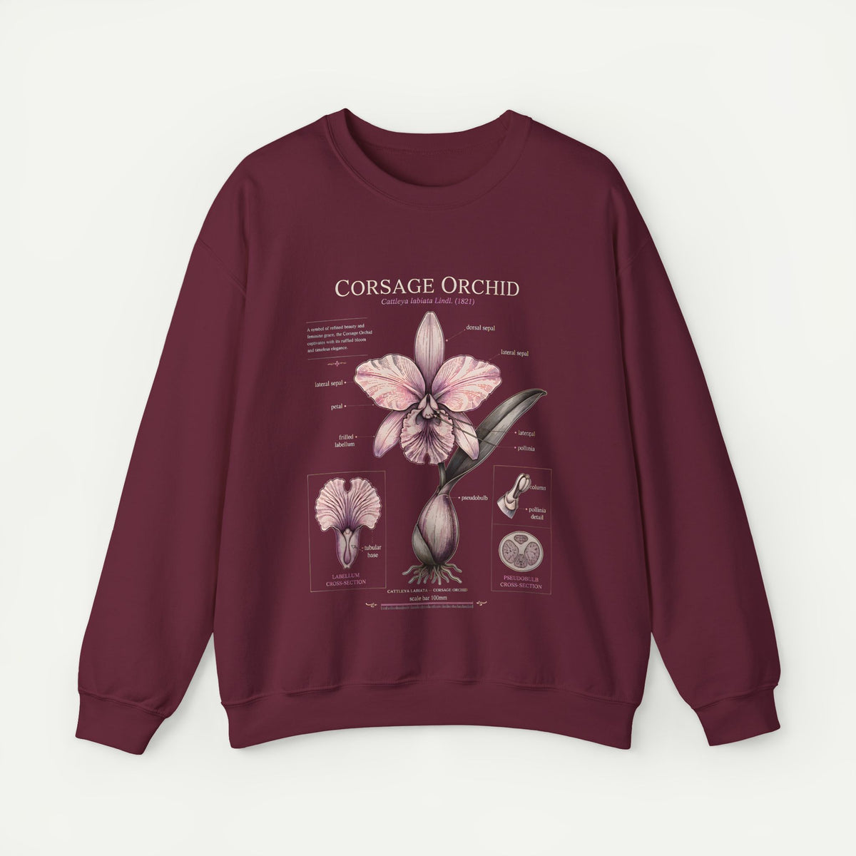 Corsage Orchid Sweatshirt — Botanical Anatomy Floral Crewneck Main image