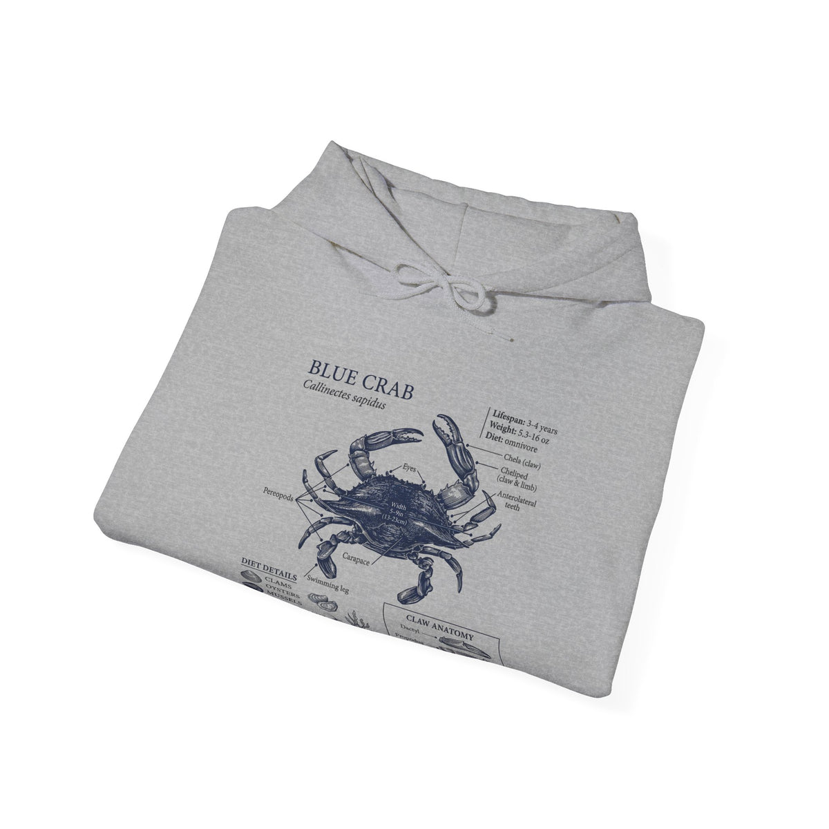Blue Crab Anatomy Hoodie – Nautical Marine Biology Graphic Sweatshirt