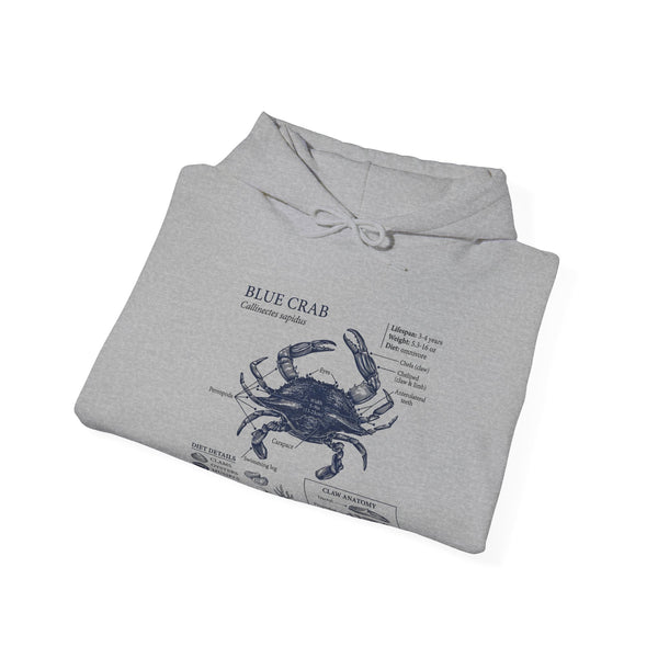 Blue Crab Anatomy Hoodie – Nautical Marine Biology Graphic Sweatshirt