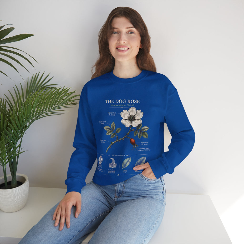 Dog Rose Botanical Sweatshirt — Vintage Floral Anatomy Crewneck