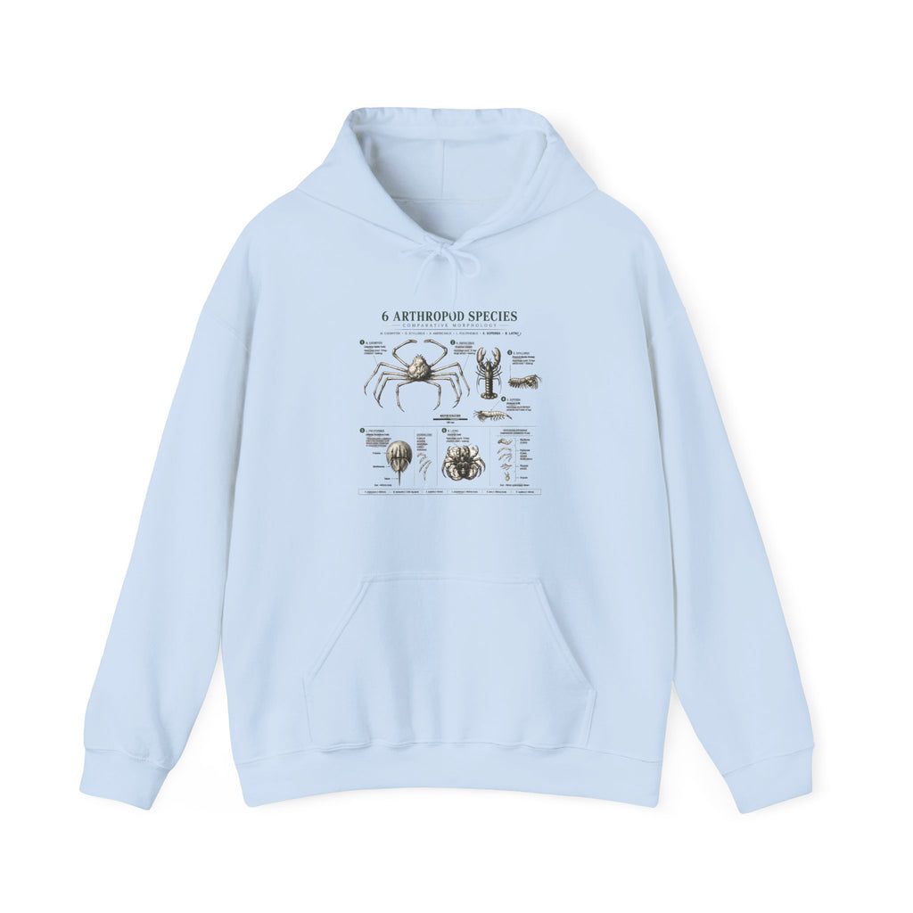 Arthropod Species Hoodie – Vintage Scientific Diagram Sweatshirt