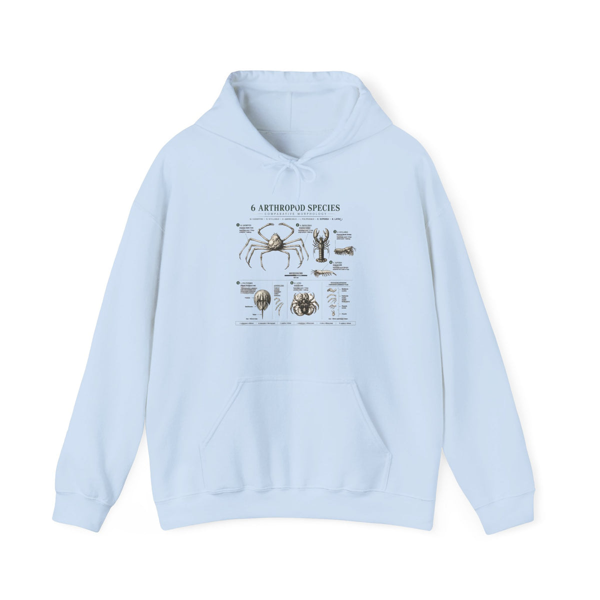 Arthropod Species Hoodie – Vintage Scientific Diagram Sweatshirt