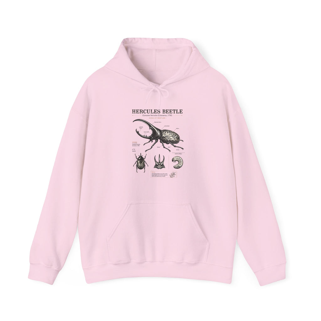 Hercules Beetle Anatomy Hoodie — Vintage Entomology Illustration Sweatshirt