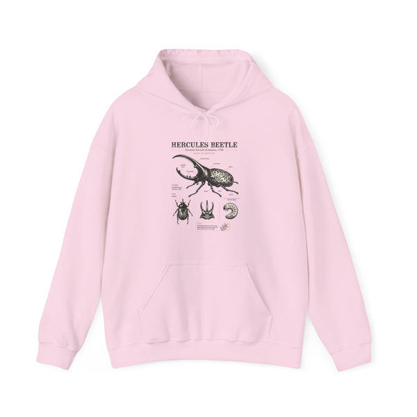 Hercules Beetle Anatomy Hoodie — Vintage Entomology Illustration Sweatshirt