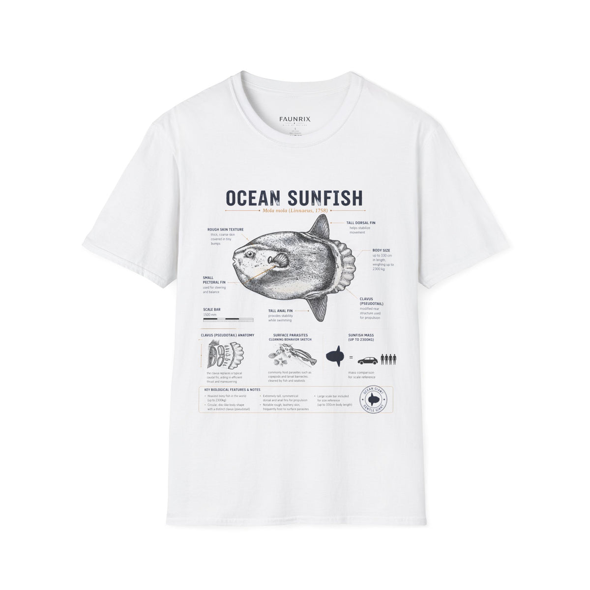 Ocean Sunfish Anatomy T-Shirt — Vintage Marine Biology Graphic Tee