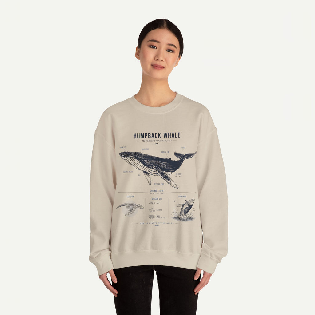 Humpback Whale Anatomy Sweatshirt