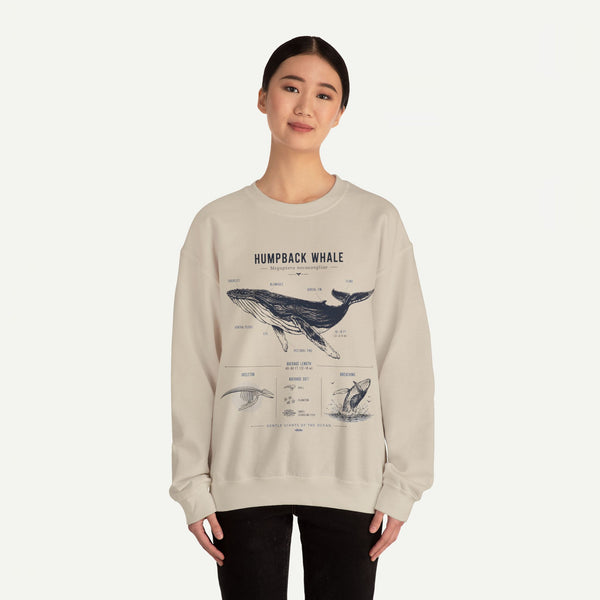 Humpback Whale Anatomy Sweatshirt
