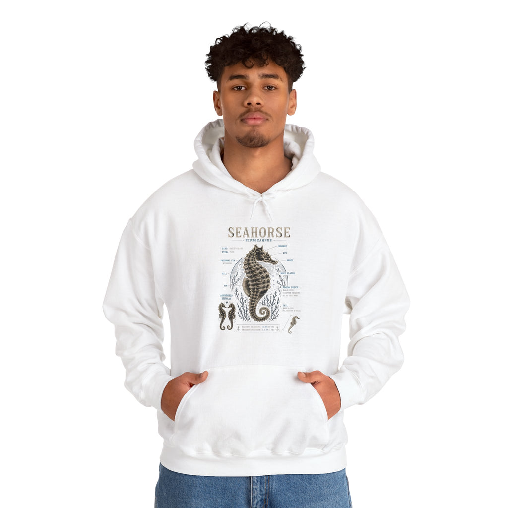 Seahorse Anatomy Hoodie — Vintage Marine Illustration Sweatshirt