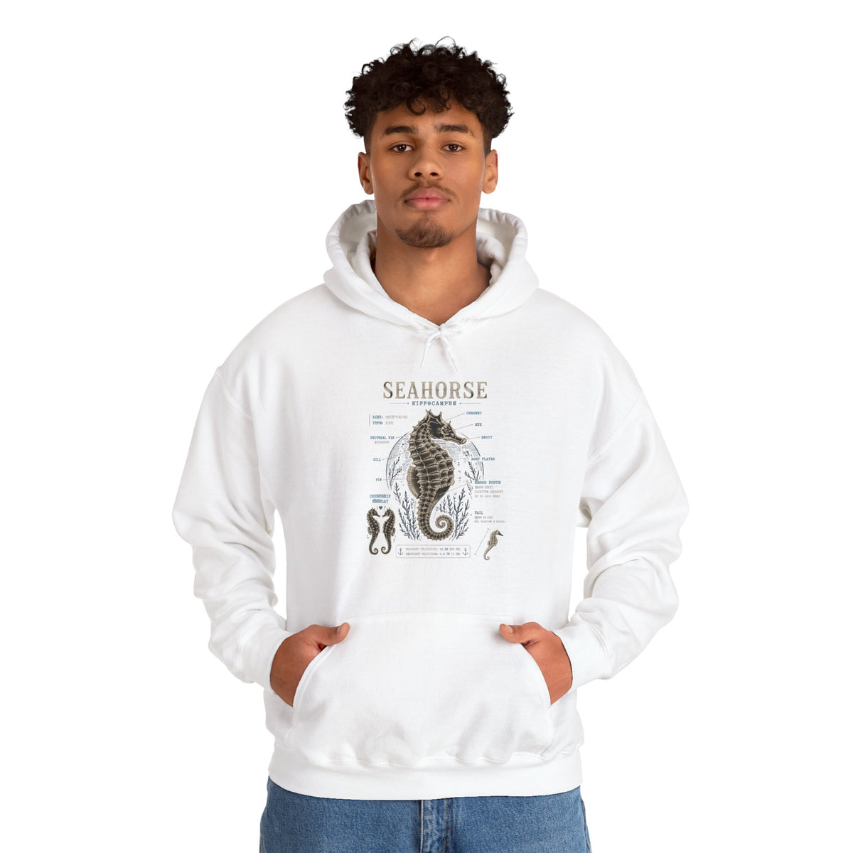 Seahorse Anatomy Hoodie — Vintage Marine Illustration Sweatshirt