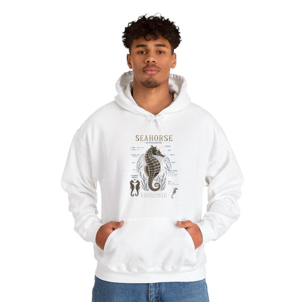 Seahorse Anatomy Hoodie — Vintage Marine Illustration Sweatshirt