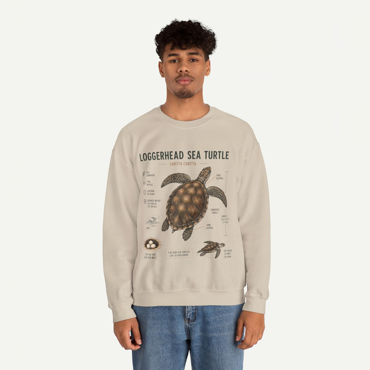 Loggerhead Sea Turtle Anatomy Sweatshirt — Marine Life Educational Crewneck