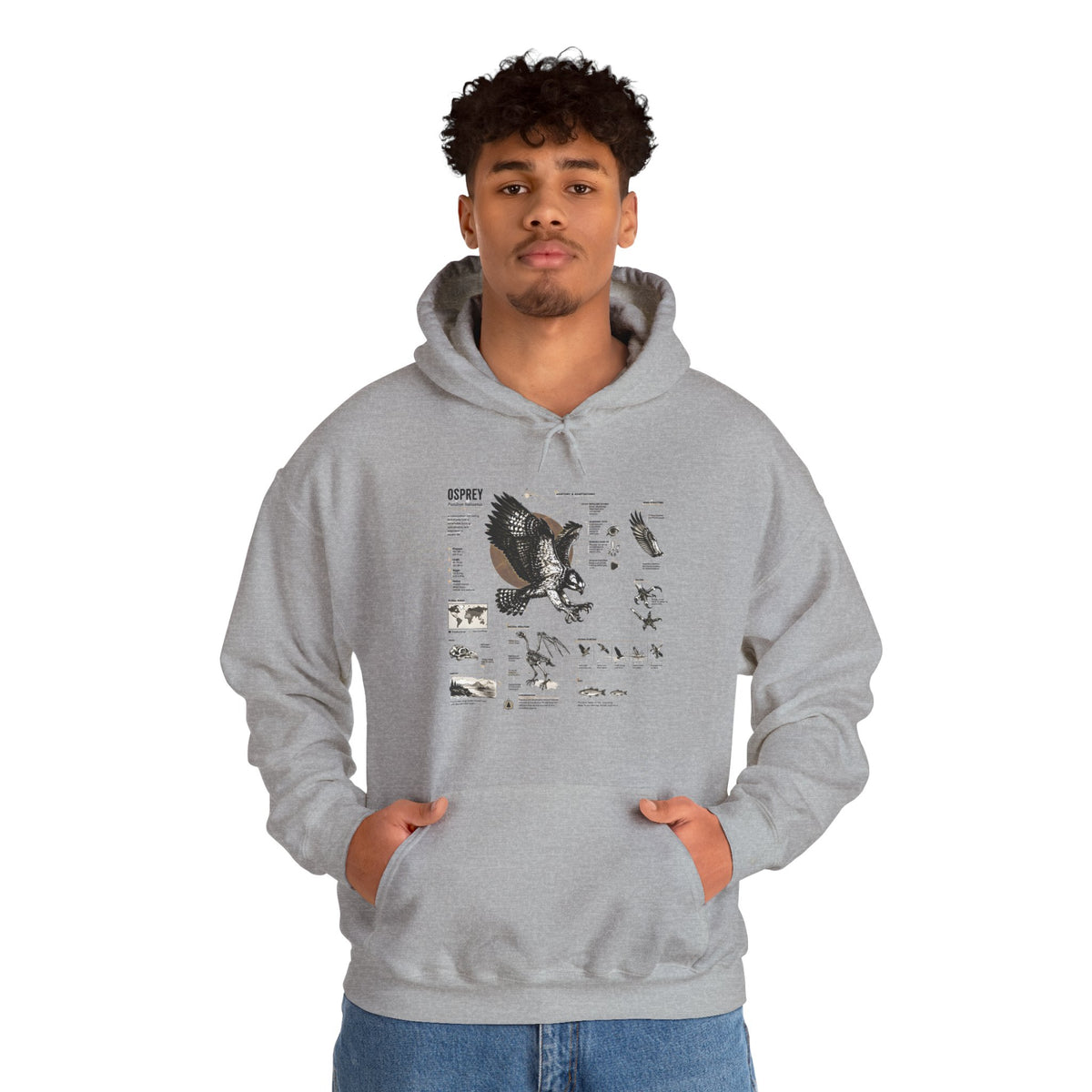 Eagle Anatomy Hoodie — Vintage Ornithology Graphic Sweatshirt