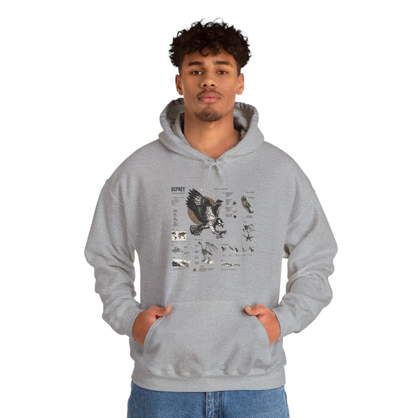 Eagle Anatomy Hoodie — Vintage Ornithology Graphic Sweatshirt