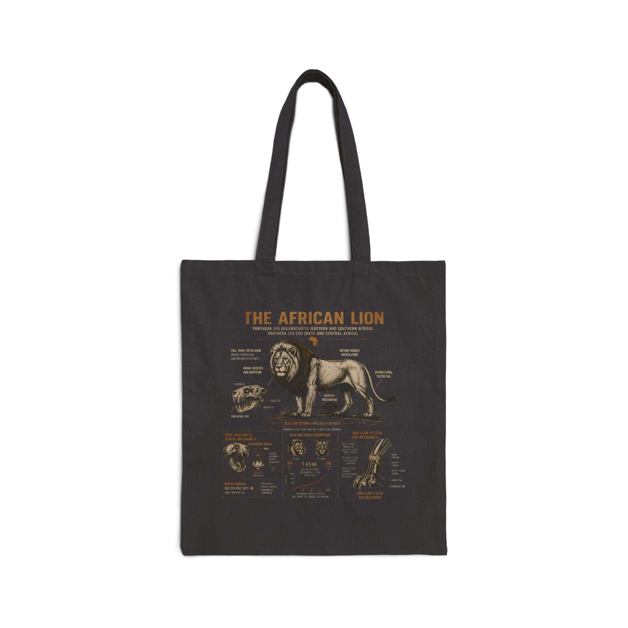 African Lion Anatomy Canvas Tote Bag - Vintage Wildlife Diagram Tote Secondary image