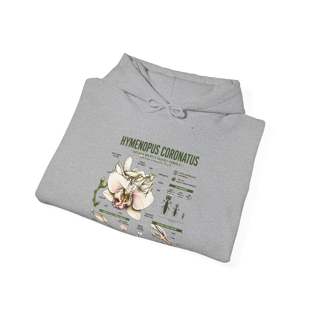 Botanical Hooded Sweatshirt — Hymenopus Coronatus Praying Mantis Illustration