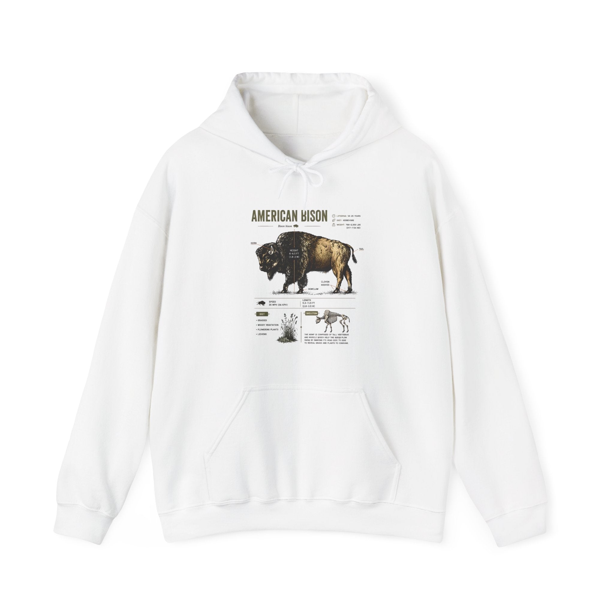 Bison Anatomy Hoodie — American Bison Illustration & Facts Sweatshirt Secondary image